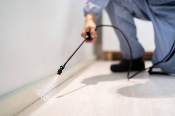 Licensed Pest Control service in Edwardsburg, MI - Show Me Pest Control