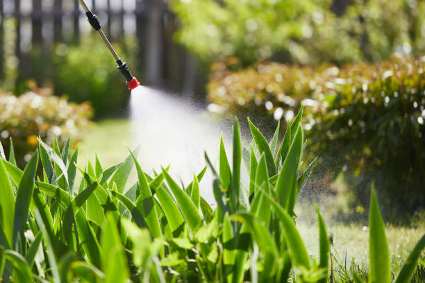 24/7 Emergency Mosquito Control experts in Edwardsburg, MI